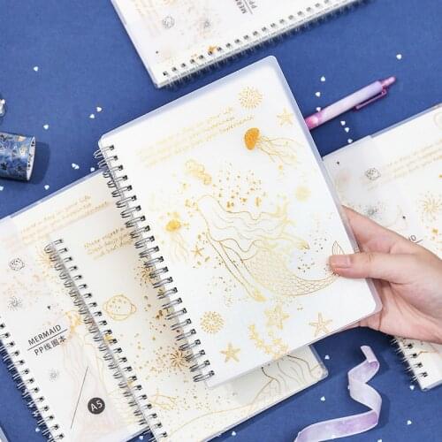 Baonuoyi Notebooks For Notes