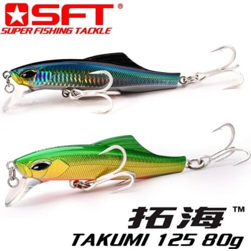 TAKUMI 125mm 80g Sinking Minnow Fishing Lure Hard Lure Sea Bass Sports Fishing Game Fishing SFT Brand