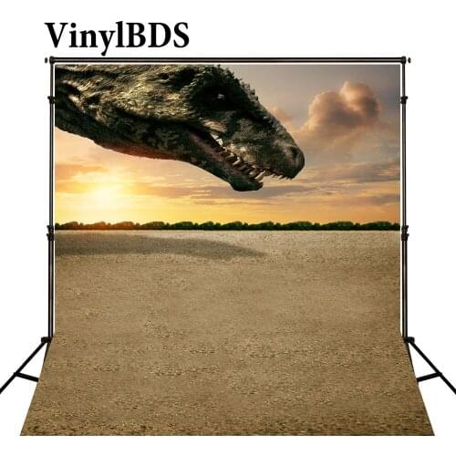VinylBDS 10x10ft Baby Backdrop Dinosaur Newborn Photography Backdrops Jurassic Park Party Backdrops for Children Photo Studio