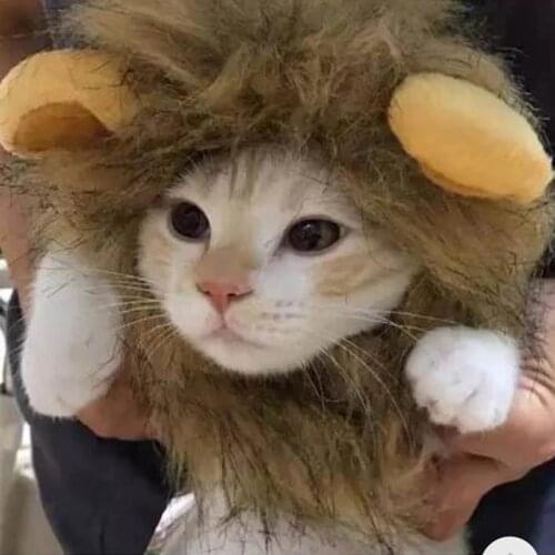 2021 Hot Sale Pet Cat Dog Dress Up Costume Wig Emulation Lion Hair Mane Ears Head Cap Autumn Winter Muffler Scarf Pet Products