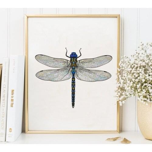 Abstract Dragonfly Art Print Poster Wall Pictures Home Decor , Cute Insect Dragonfly Canvas Painting Modern Office Wall Decorati