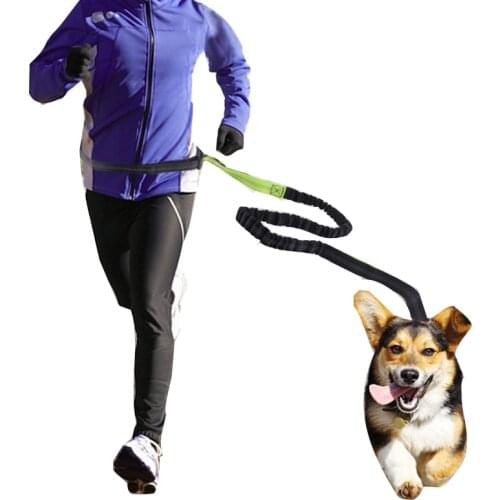 Pet Running Leash Nylon Rope Elastic Band Exquisite Workmanship Reflective Webbing Waist Adjustment Safety Buckle Alloy Fastener
