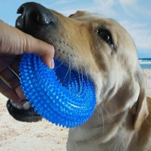 Squeak Chew Pet Toys For Large Dogs Training Thorn Circle Ring