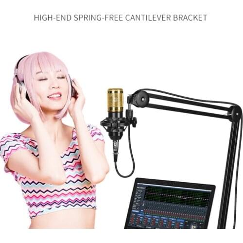 28EA Microphone Arm, Upgraded Mic Arm Microphone Stand Boom Suspension Stand for Blue Ye-ti Snowball, Ye-ti Nano, Ye-ti x，etc