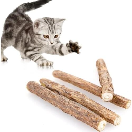 Natural Silvervine Stick Teeth Cleaning Catnip Stick Creative Pet Kitten Chewing toy cat catnip toys herbe a chat Cat Supplies