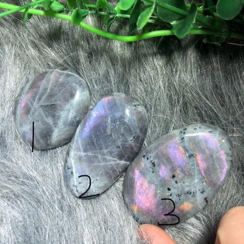 Labradorite palm 1934