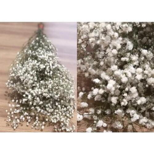 Artificial Pot White Shock Cipso-Dry flower decoration artificial flower искусственный цветок