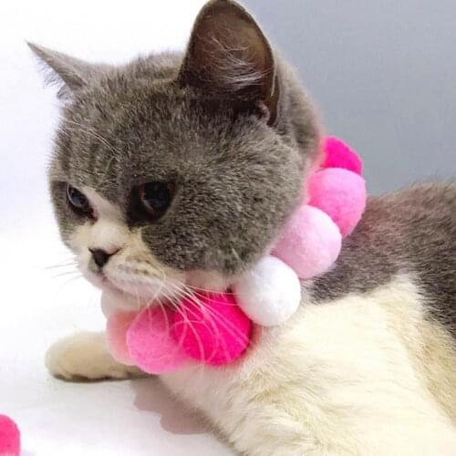 1pc Pom Pom Decor Dog Collar Fashion Decorative Plush Cat Collar New Kitten Collar Pet Supplies For Party Cat Accessories