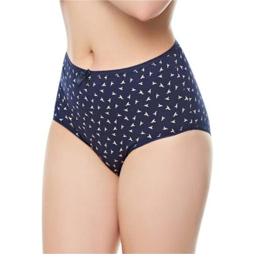 Womens High Waist Bato Panties 4'lü Package Pattern High Waist Panties Colorful Patterned Women 'S Panties