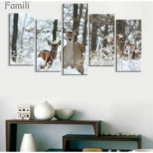 5 Picture Combination Deer Winter Deer Picture Wrapped Canvas Print Shows Deer with Antler Racks Wildlife Wall Decor