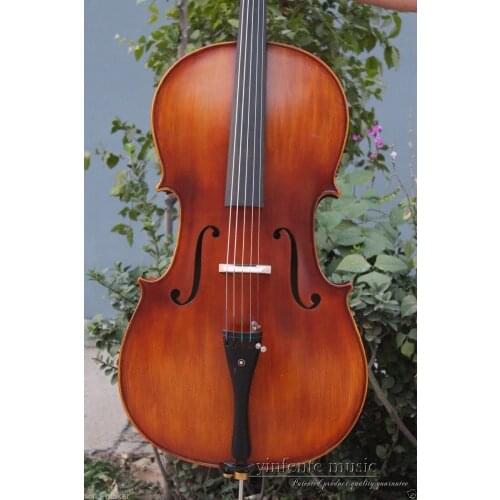Full Size New Cello Solid wood High quality Powerful Sound 5 String 507