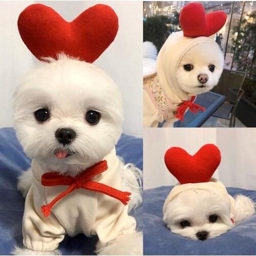 Dog Hoodie Fruits Turned into Dogs Cats Autumn and Winter Sweaters Fleece Clothing Supplies Pet Clothes