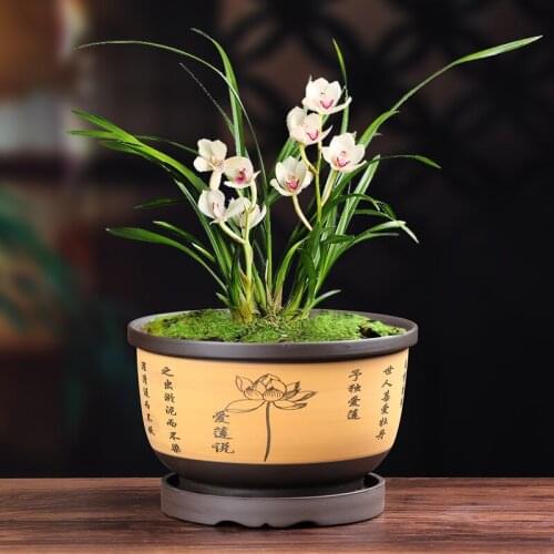 Zisha Orchid Pot Chinese Style Large With Tray Ceramic Indoor Retro Asparagus Phalaenopsis Creative Bonsai Basin Home Decoration
