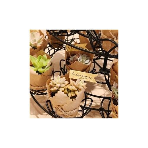 Personalize text succulent favour flags wedding birthday cupcake toppers let love grow birthday party favor gift flags