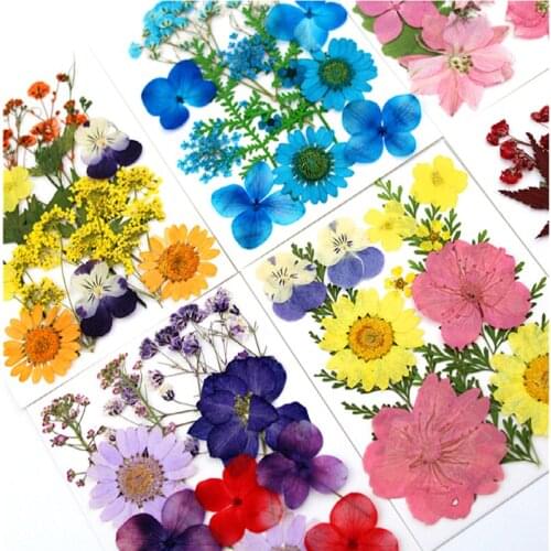 5 Pack DIY Dried Flowers Resin Mold Fillings UV Epoxy Flower For Nail Art Pressed Flowers For Home Decor Handicrafts