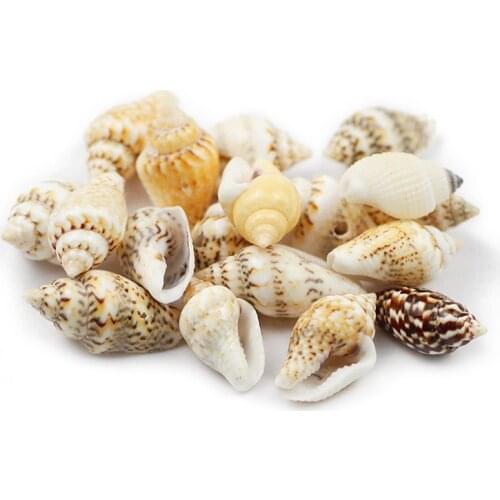 100pcs 7*14mm Natural Sea Shells Printing Shell Charm Loose Beads For Jewelry Making DIY Craft conch Ornaments Accessories