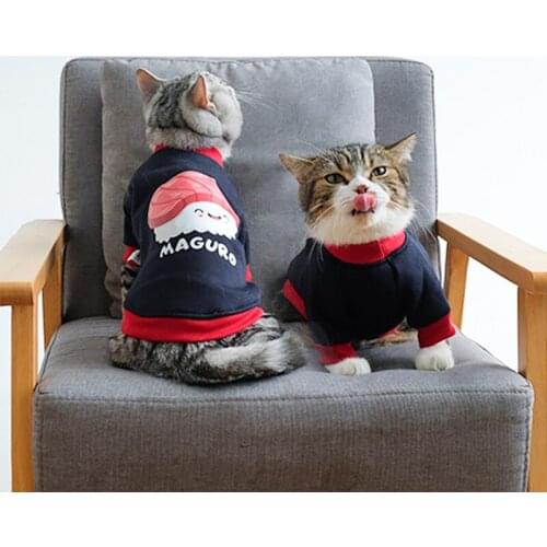 Cat clothes autumn clothes anti-hair falling thin autumn and winter British short blue cat kitten cat kitten pet dog winter cute