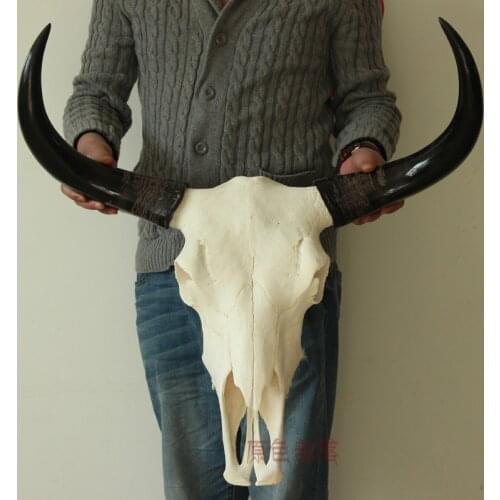 Head Arts Crafts Direct selling natural handicraft Tibetan yak cow skull really polished horn skull ornament