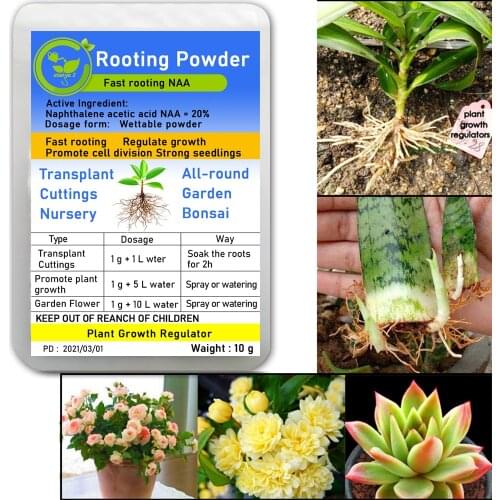Bonsai Plant Rapid Growth Root Medicinal Hormone Regulators Growing Seedling Recovery Germination Vigor Aid NAA For Gardem