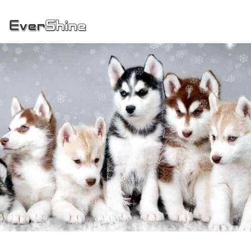 Evershine Diamond Painting Dog Full Square Diamond Embroidery Animal Cross Stitch Kit Decoration Diamond Mosaic Gift Home Art