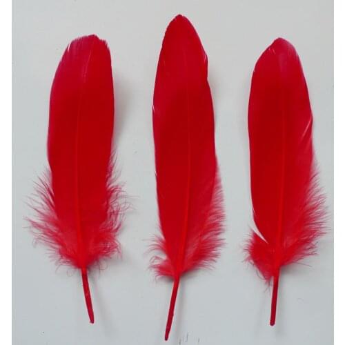 Wholesale 1000 Pcs Red Natural Plume Goose Feathers For DIY Crafts Christmas Cosplay Hat Clothing Shoes Accessories Decoration
