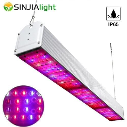 150W 300W 450W 600W 750W LED Grow Light Full Spectrum Waterproof IP65 Growth Lamp for plants hydroponics grow tent greenhouse