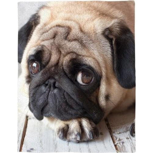 Rest Pug, Lovely Pet Dog Coral Fleece Fuzzy Blankets on Bed Throws Bedsheet for Kids Girls