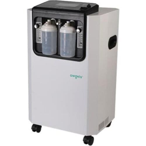 CE Certification Home Healthcare 10L Large Flow High Purity Oxygen Machine Oxygen Concentrator