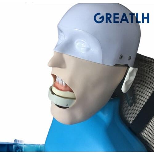Dental Simulation Teeth model Dentistry manikins Phantom Head Sennior with Torso for Dental teaching model