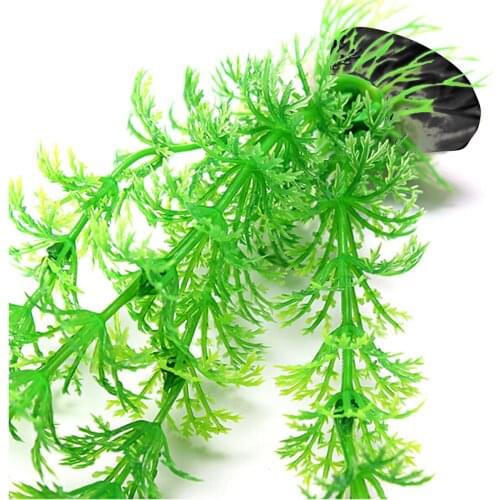 Elenxs Equipment For Aquariums