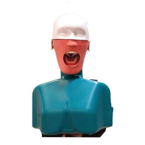 Dental Manikins Phantom Head for Dentistry and Dental Technology Sennior Manikins Phantom Head with Torso Teaching Model