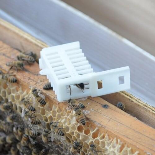 2pcs bee queen cage king cages bees tools equipment tool anti escape plastic cells bee-keeping beekeeper supplier apiculture