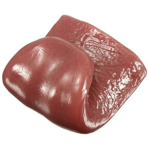 5xMagic Tricks Joke Toy Faded Tongue Funny Gift Prank Toy Stress Realistic Tongue Halloween decoration Supplies Shocker Dress Up