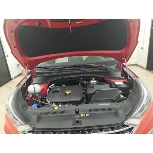 Car Styling Hood Bonnet Modify Gas Struts Lift Support for Hyundai Tucson 2015 2016 2017 2018 Shock Damper Carbon Fiber Absorber