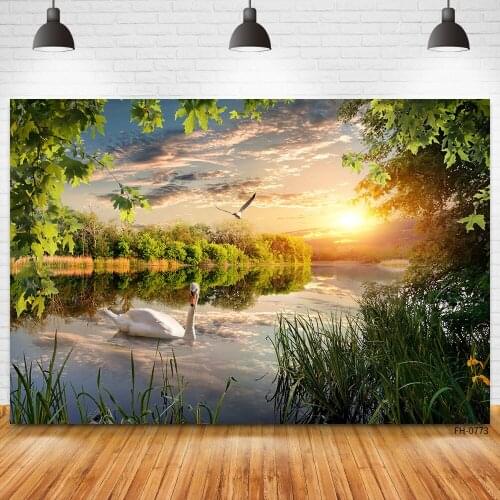 Dreamy Natural Scenery Beautiful Sunset Photography Backdrops Green Trees Lake Sky Backgrounds For Newborn Baby Portrait Photo