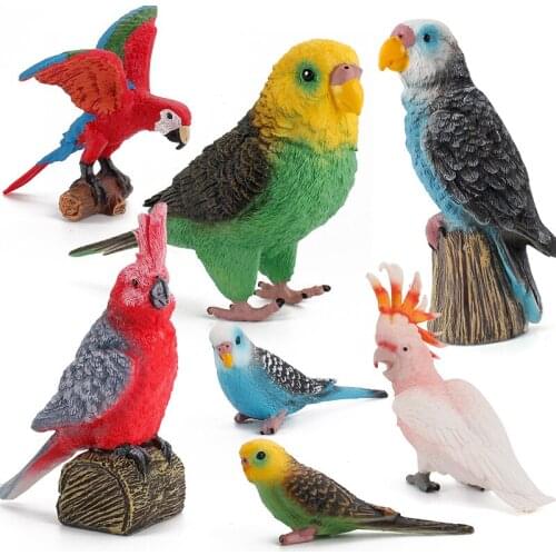 Cross-Border Simulation Forest Wild Birds Parrot Model Solid Static Large Budgerigar Macaw Decoration