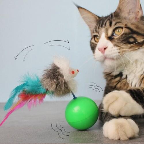 [MPK Store] Tumbler Cat Toy with Feather, Funny Cat Toy Cute Feather Mouse Leather Ball