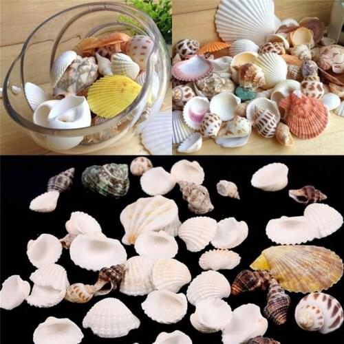 100g Natural Mixed Shell Fish Tank Aquarium Decor DIY Jewelry Pendant Accessories Seashells Home Decorations