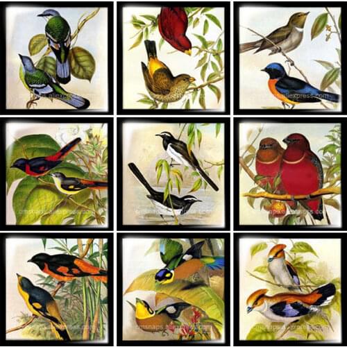 Beauty Vintage Birds Magpie Square glass cabochon 10pcs mixed 12mm/20mm/25mm/30mm Size flat back DIY Jewelry Findings FB0042