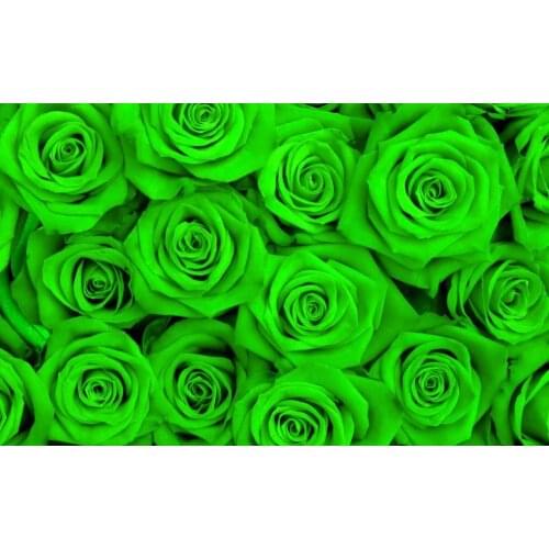 Papel parede mural wallpaper Green Rose 3d wallpaper Eurpean minimalist bedroom living room TV backdrop