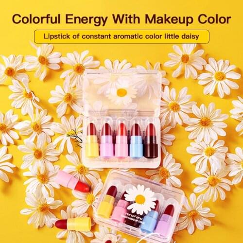 5 Pcs/box Moisturizing Lipstick Set Box Waterproof Mini Lipsticks Long Lasting Portable Multicolorful Beauty Lip Stick Wholesale