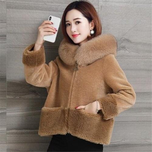 Light Temperament Short Coat Female Imitation Fur Coat Women Coat New Imitation Wool Warm Fashion Winter Clothing Young Models