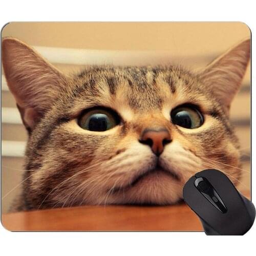 Mouse Pad with Stitched Edge,Funny cat Non-Slip Rubber Base Mousepad
