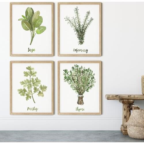 Botanical Herb Wall Art Pictures Watercolor Posters and Prints French Plant Canvas Painting Living Room Bedroom Decoration