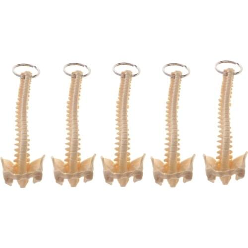 Mini Handcrafted Human Spine Skeleton Model Keychain Teaching Aid 5x
