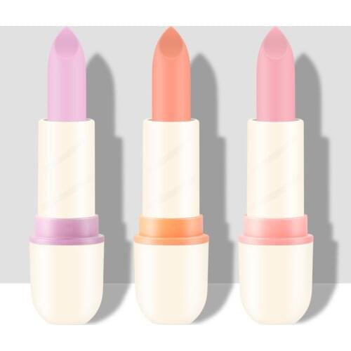 Pink orange purple Lipstick Long Lasting Hygienic Moisturizing Matte Waterproof Lip gloss Liquid Matte Color Cosmetic Makeup