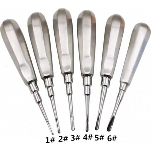 Free Ship 6Pcs Dental elevator Stainless Steel Tooth Elevator Dentist Tools Stright Curved Root Elevator Dental Lab Instrument