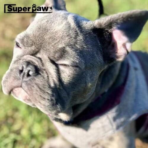 New Pet Dog PU Leather Gilet Warm Coat Jacket For Small Medium Dogs Schnauzer French Bulldog Hoodie Clothes YKC31