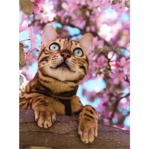 Sale 5D DIY Full Square Animal Cute Cat Mosaic Rhinestones Diamond Painting Embroidery Kit Home Decoration Gift Design FH849