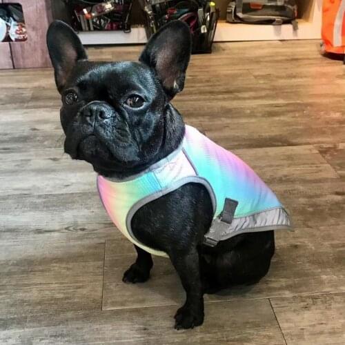 Summer Clothing For Dogs Cooler Vest For Pet Dogs Rainbow Color For French Bulldog Fat Dog Pug Summer Cooling Vest For Puppy